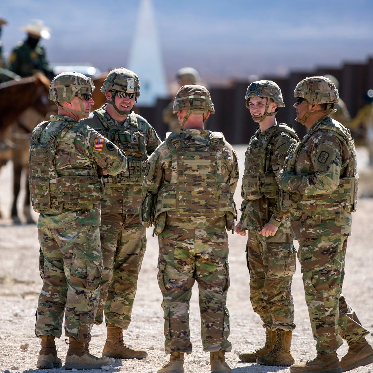 Whale Insider tweet media