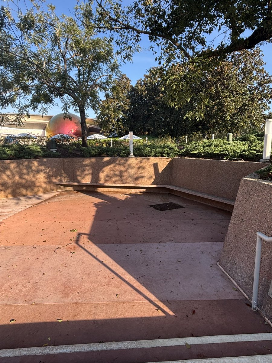 Disney Bench Club tweet media