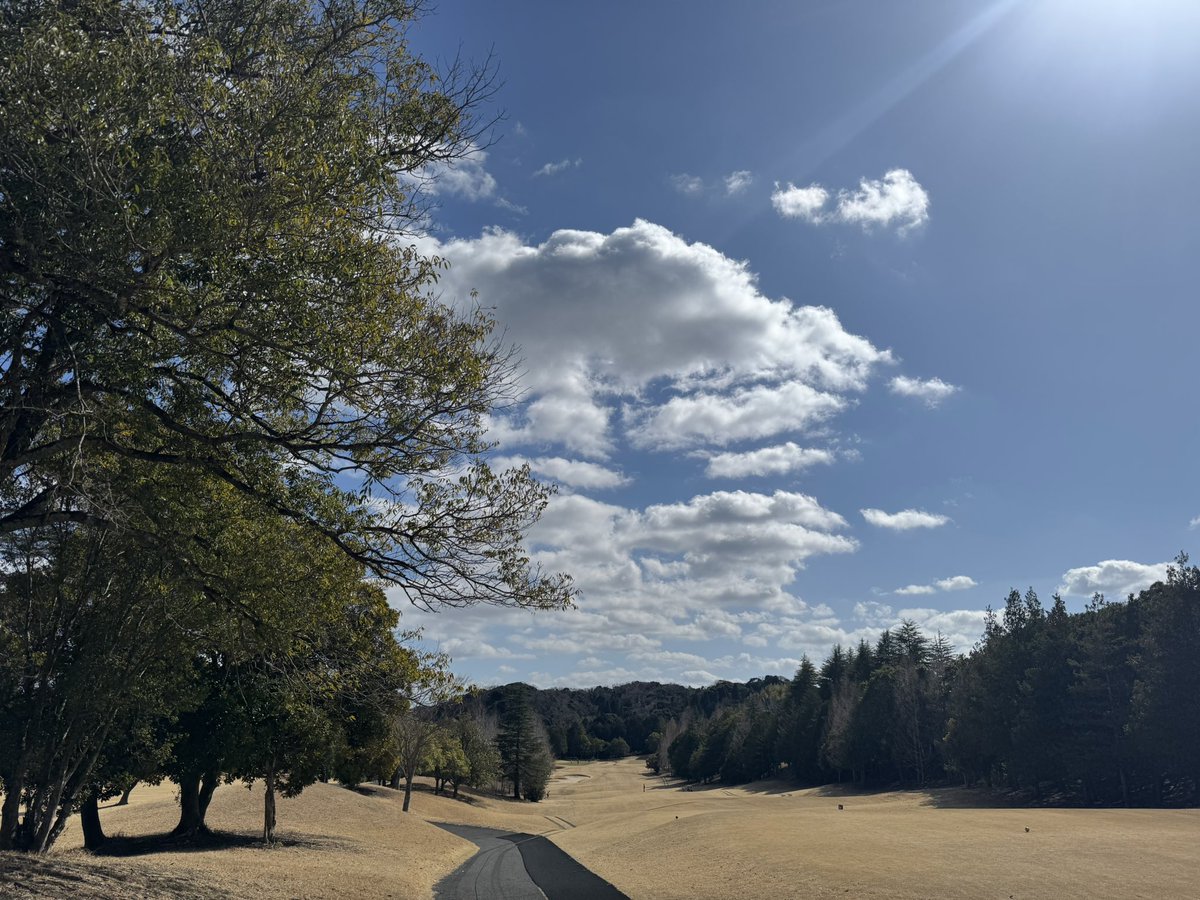 たけ☁*° tweet media