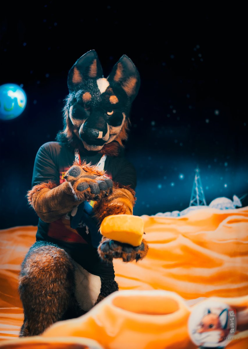 Avatar Building Australo-Bavarian Cattle Dog tweet media