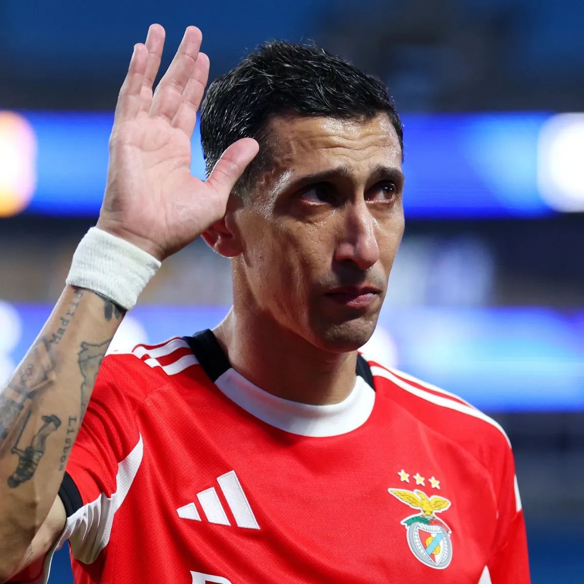 Há mesmo benfiquistas a comparar um argentino nascido em Rosário que veio para o Benfica com 19 anos e que voltou quando poderia ter ido para a Inter ou para a Arábia ganhar muito mais, com alguem que se diz adepto de berço e que sempre disse que queria voltar "novo" ?