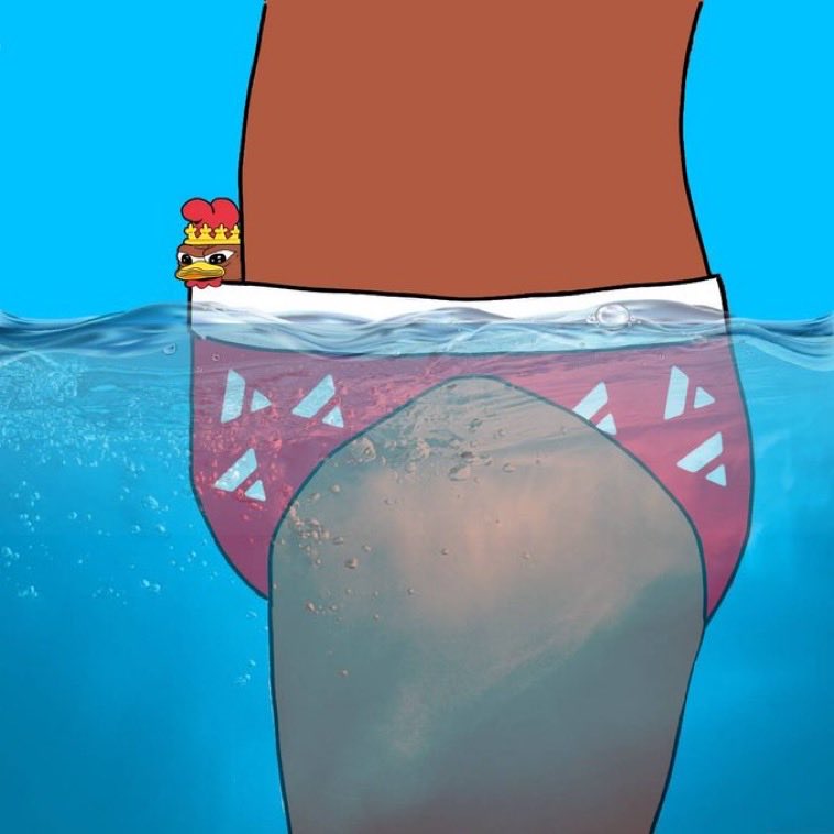 Coq Daddy tweet media