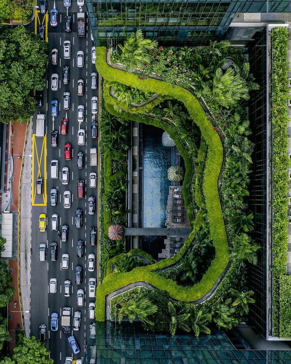 Vibrant Aesthetics tweet media