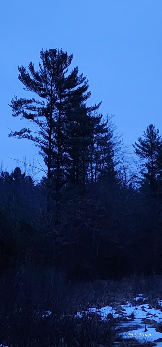 💲©️☀️🏋‍♂️🏋‍♂️ ❌️ tweet media