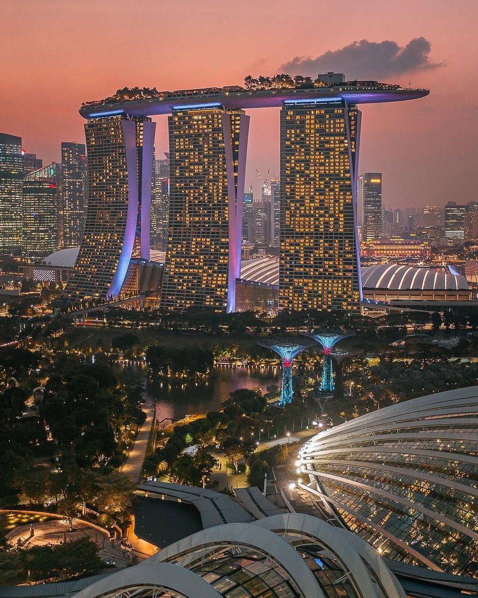 Vibrant Aesthetics tweet media