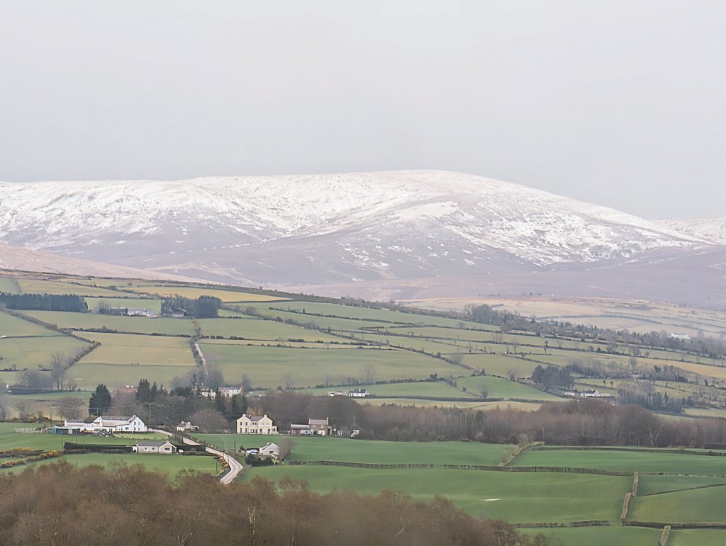 FiFi Garrett tweet media