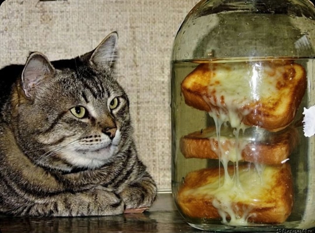 Bartosz ⏚🇵🇱 tweet media