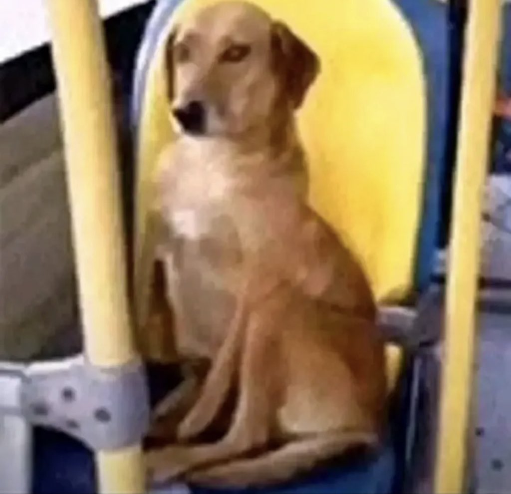 Lúcio | PARINTINS: PORTAL DO ENCANTAMENTO ♥️ tweet media