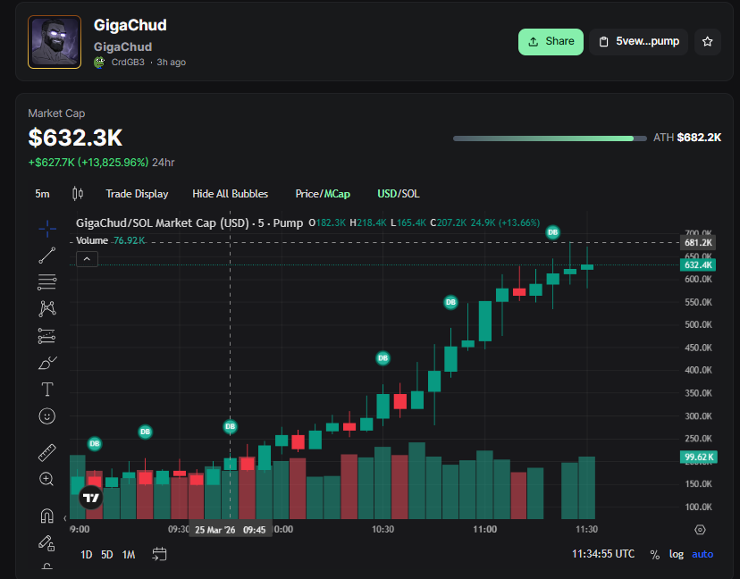Elizabe3968ni tweet media