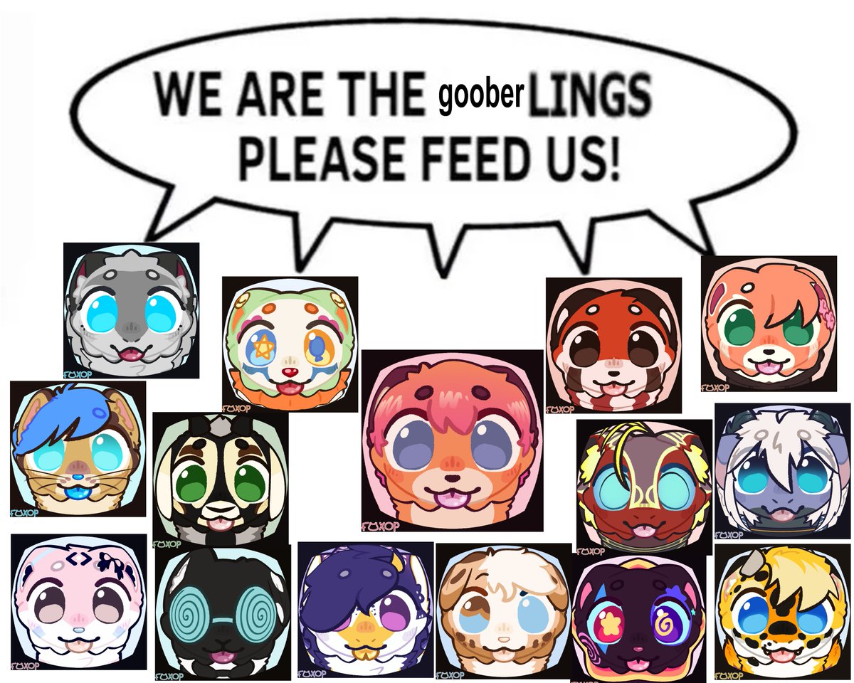 foxop 🦊 tweet media