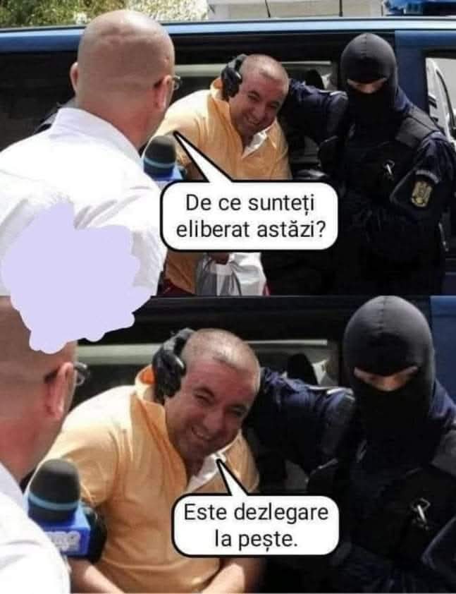 Mircea Ștefan tweet media