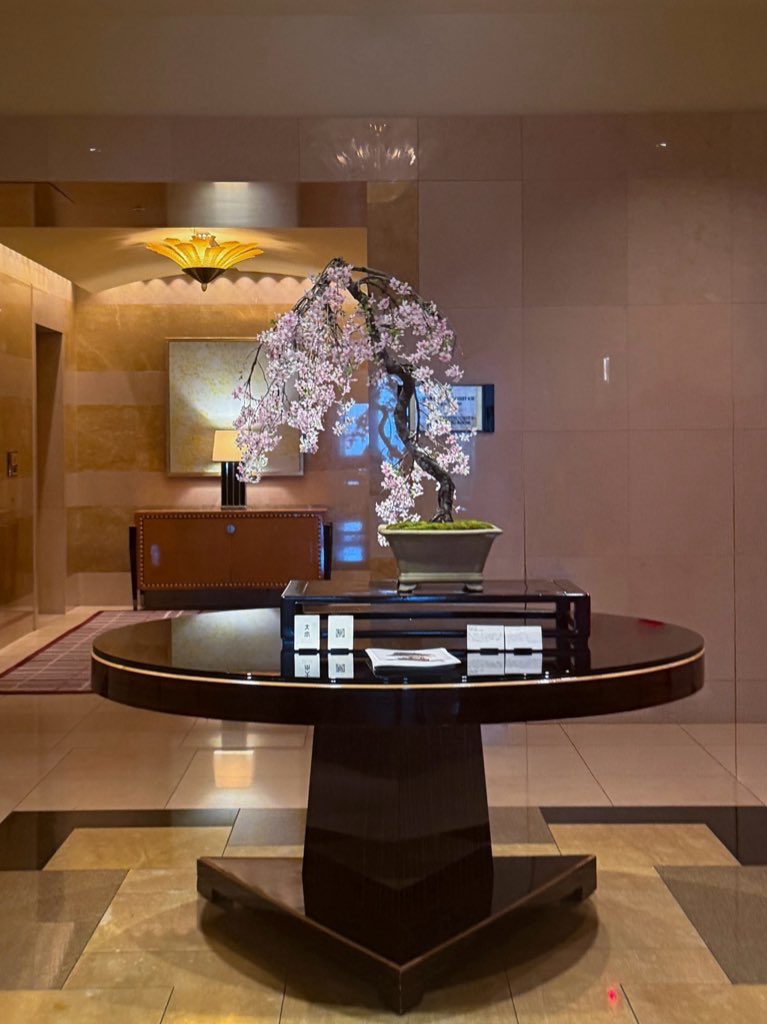 やばくね～よ☆ tweet media