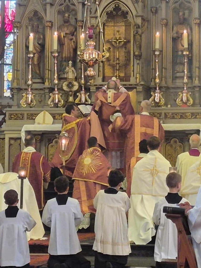 Diane Montagna tweet media