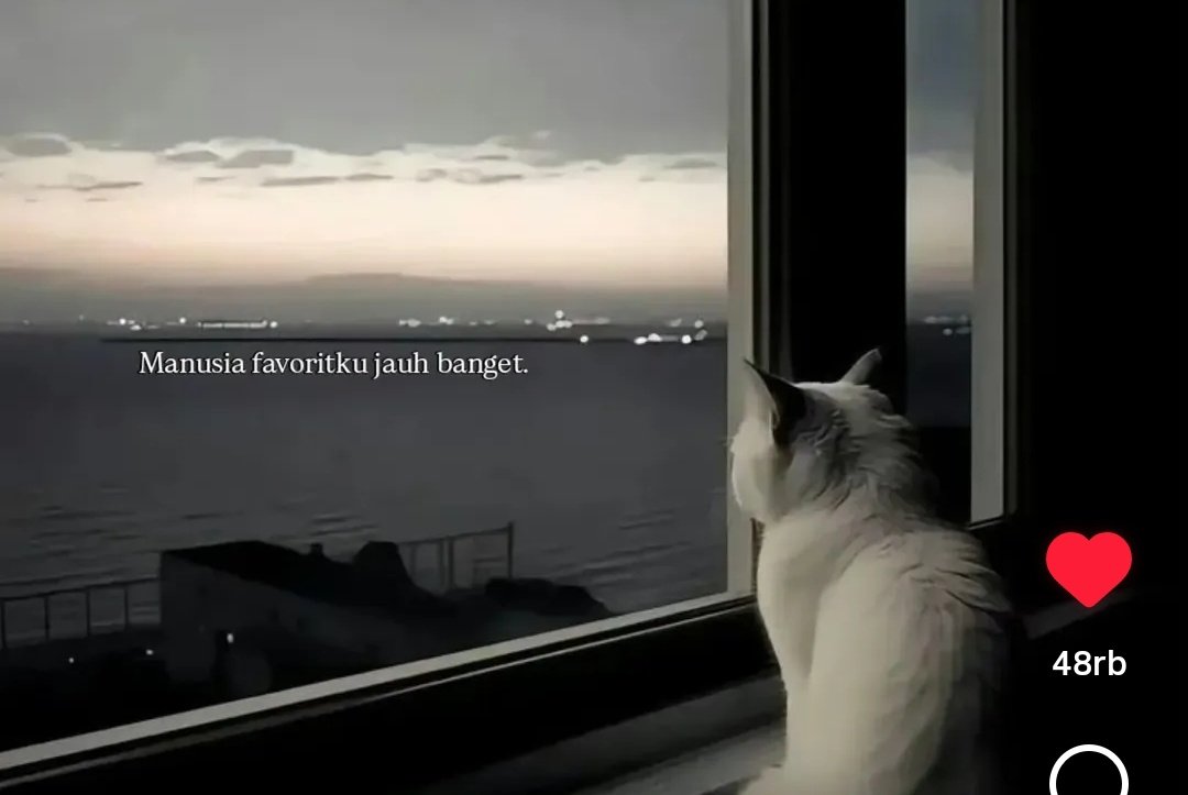 chel🦋 tweet media