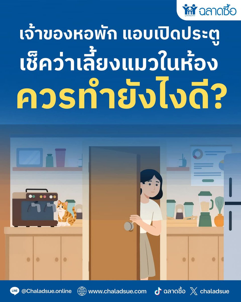 นิตยสารฉลาดซื้อ tweet media