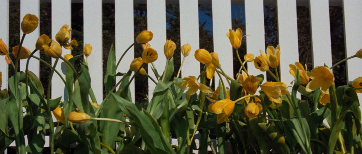 FilmFrame tweet media