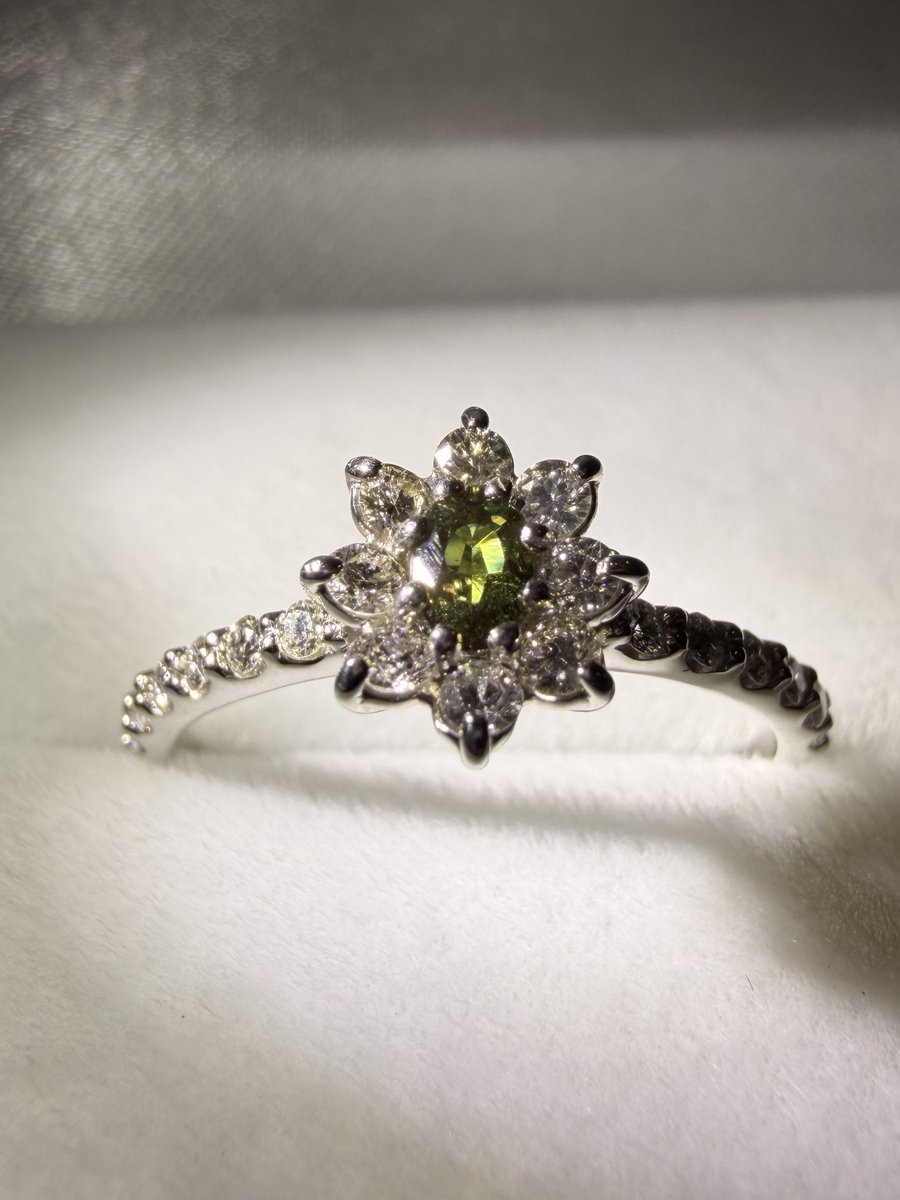 まゆみ tweet media