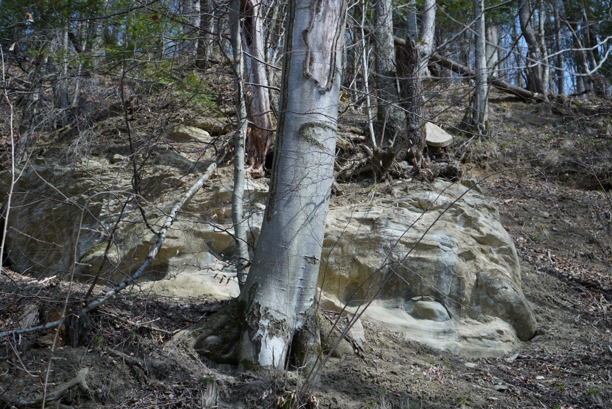 Paweł 🇵🇱 tweet media