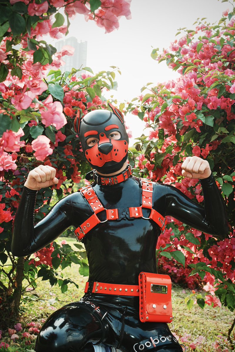 狗狗小源 tweet media