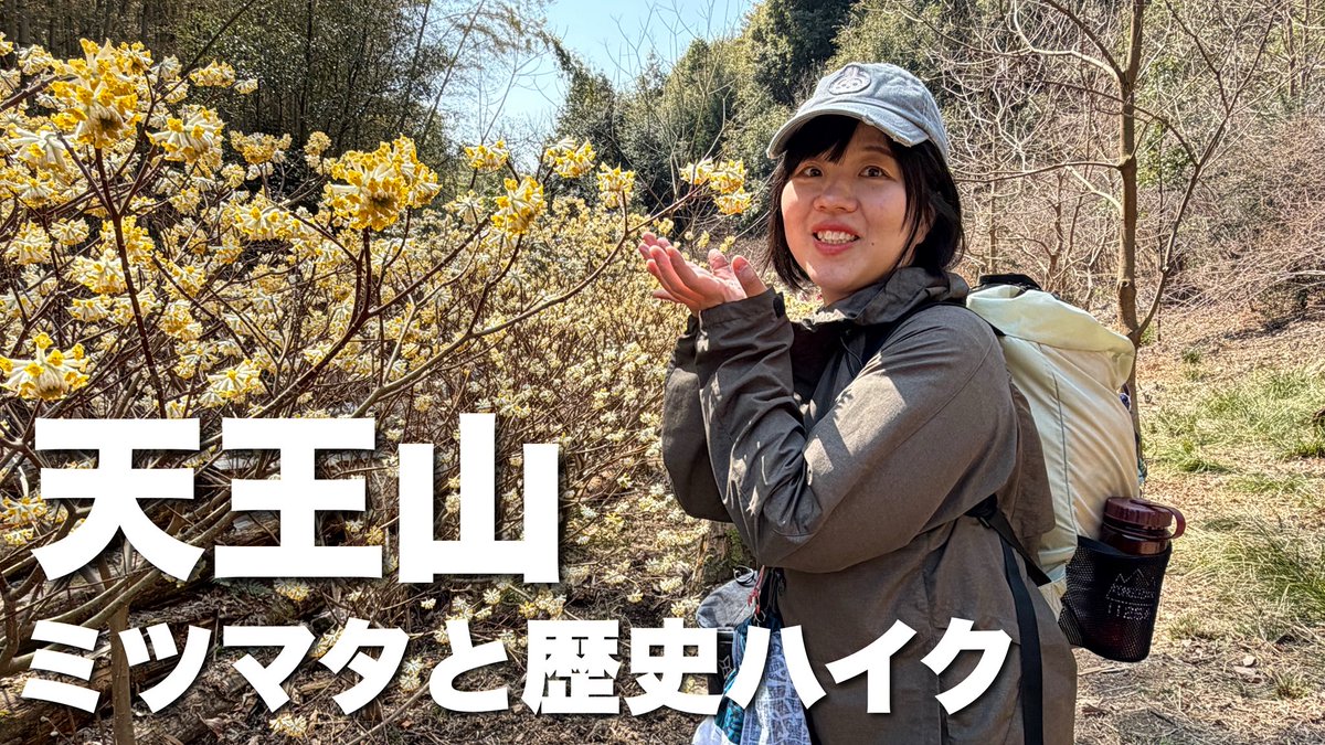 まなたん🍊🐼🏕(まなたんちゃんねる) tweet media