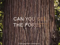 Richard Garwe 🇿🇼 tweet media