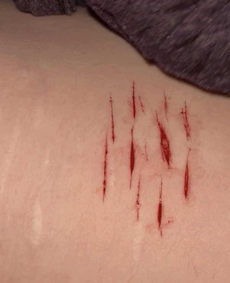 finnie !! tweet media