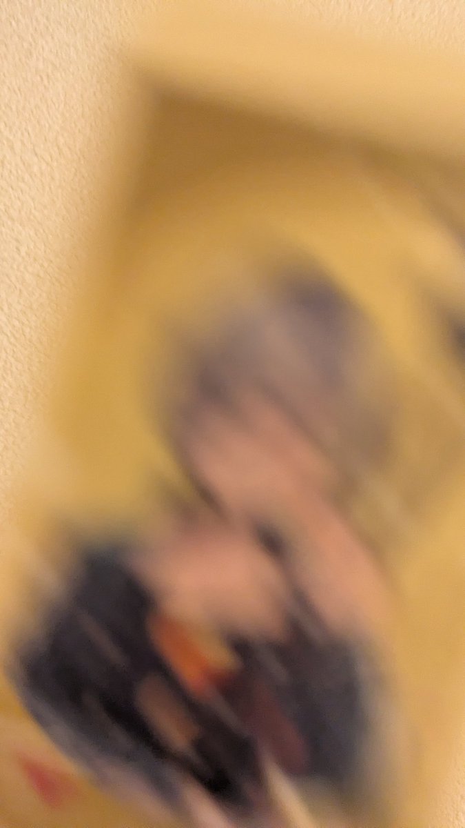 わぶ！ tweet media