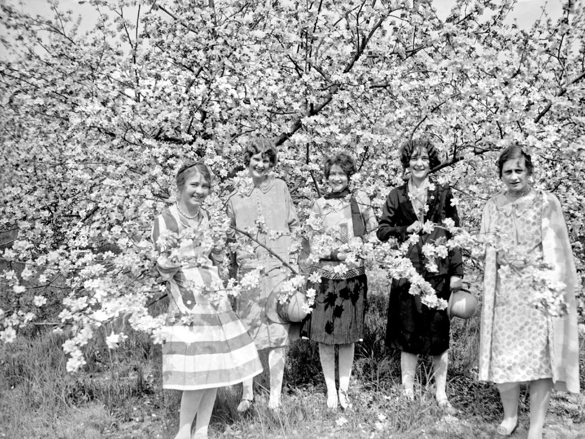 WikiVictorian tweet media