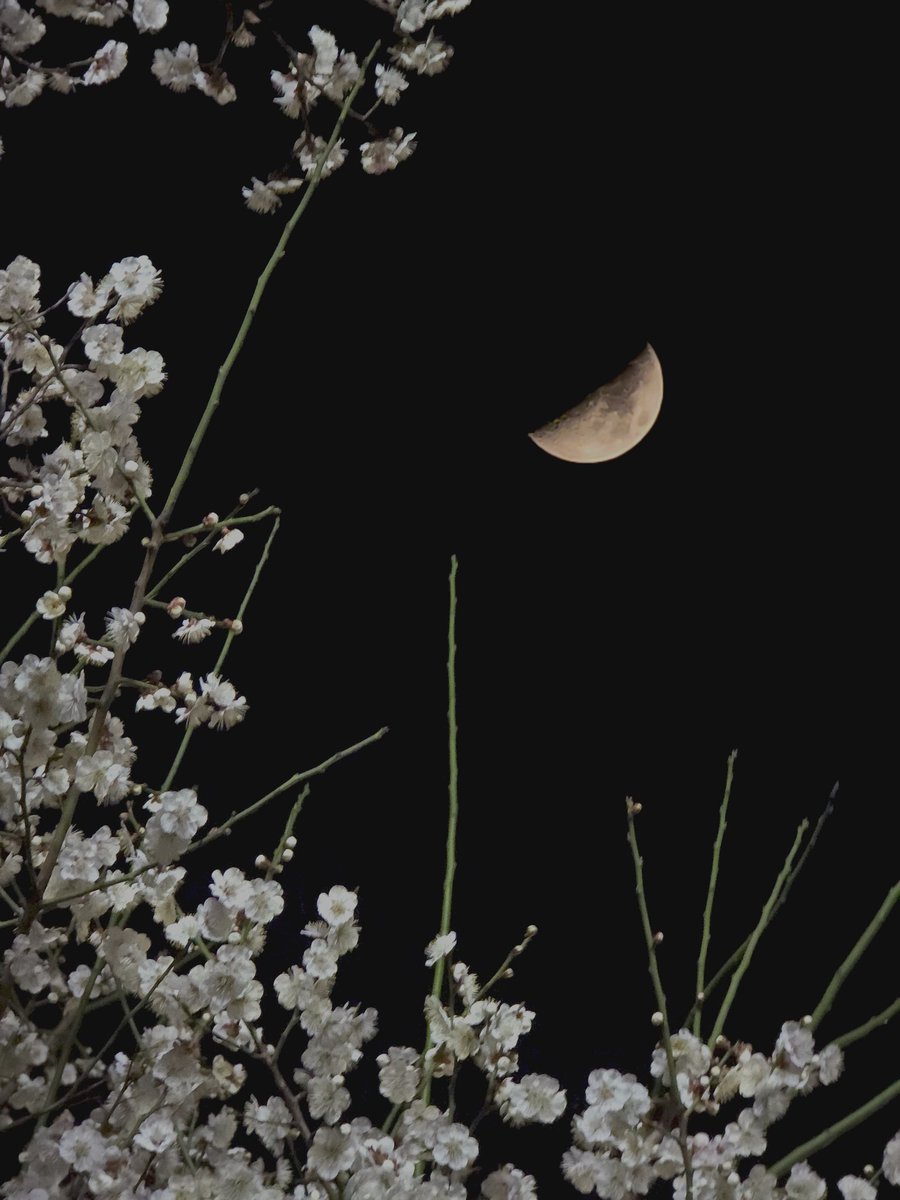 햇살지누🌞 tweet media