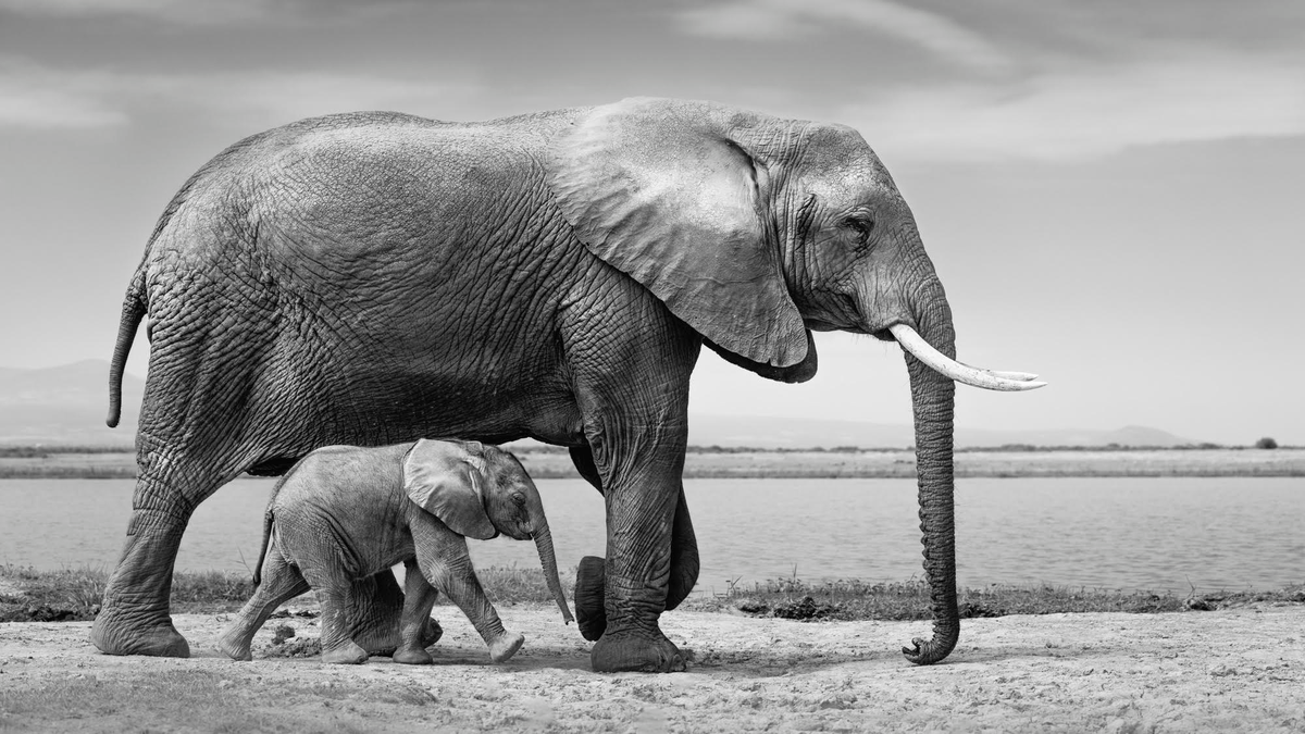 Kolter-Kolter.. 🇵🇱🇩🇪🇺🇦🇪🇺 tweet media