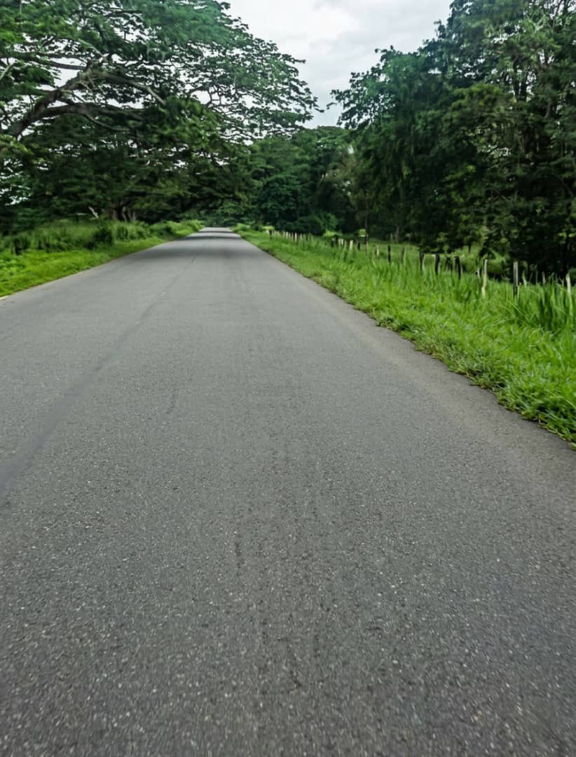 Mario Buffone tweet media