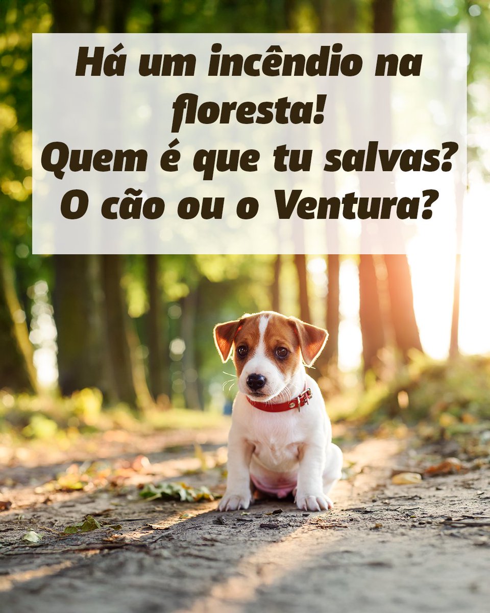 Jovem Conservador de Extrema-Direita 🌐 tweet media