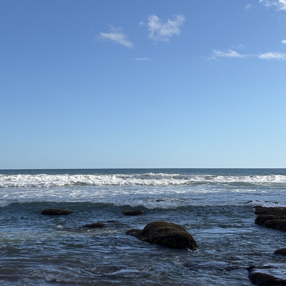 aLyeNNe! 𐔌՞. .՞𐦯 tweet media