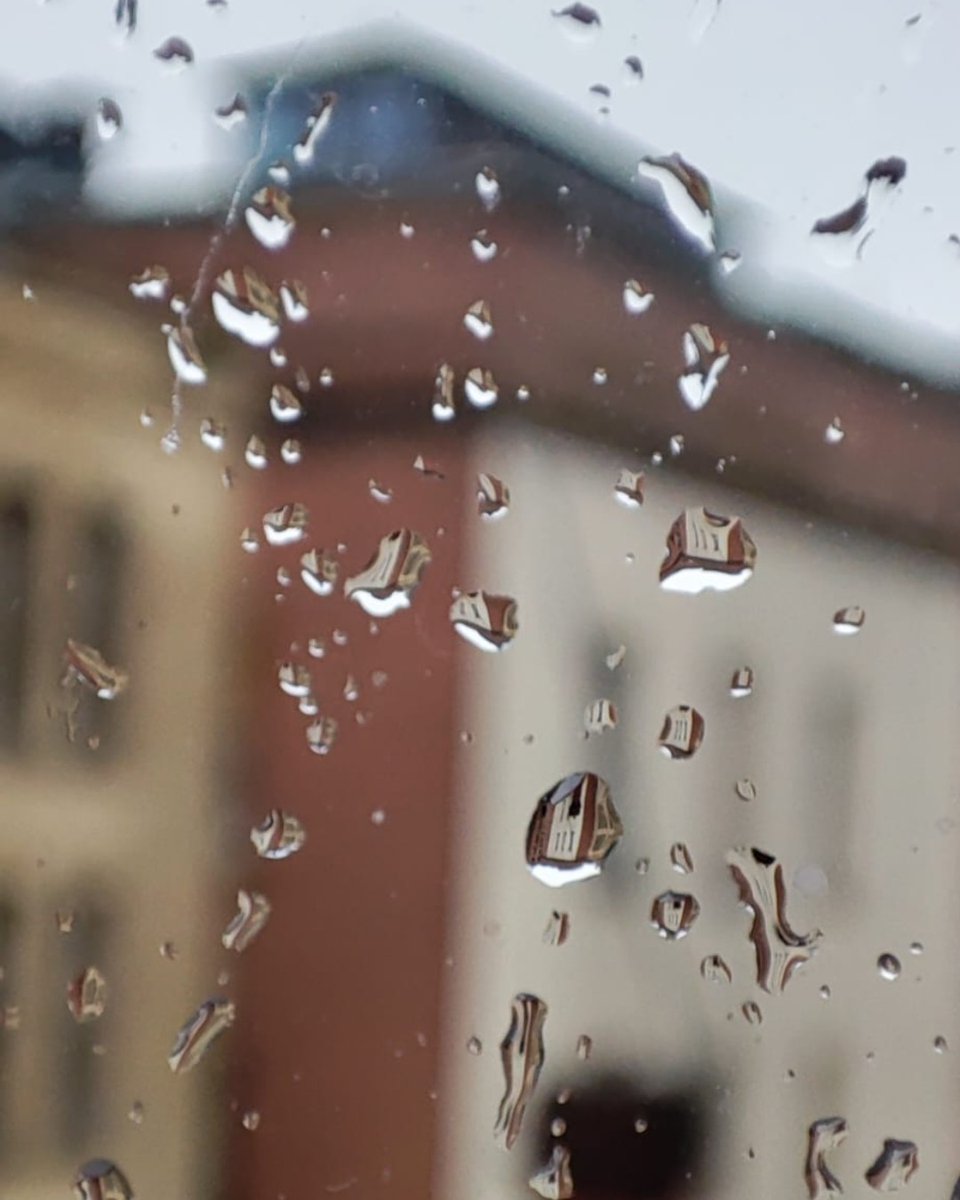 Barnabus Manchester tweet media