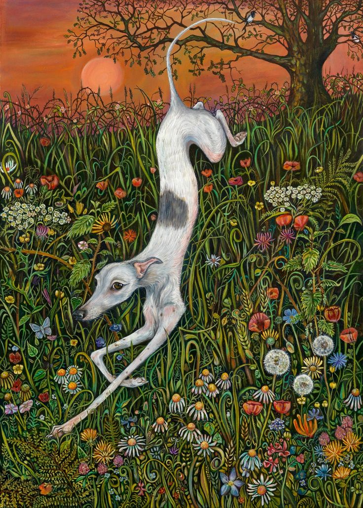 Jim Beattie tweet media