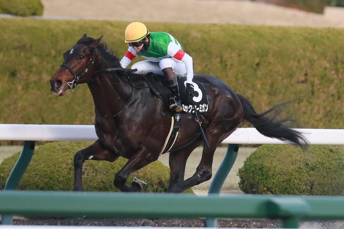 #ロックターミガン
らいてふさん、勝ちましたーヽ(´▽｀)/