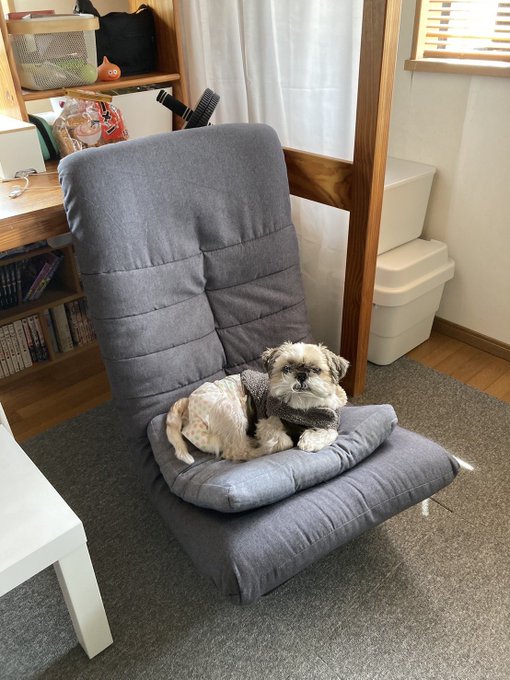 混沌な世界に生まれし不細工な天使 