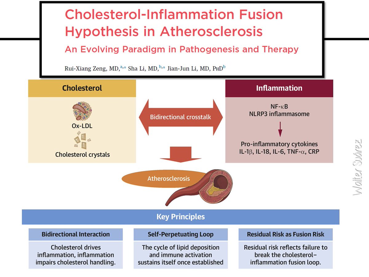 Walter Suárez Carmona tweet media