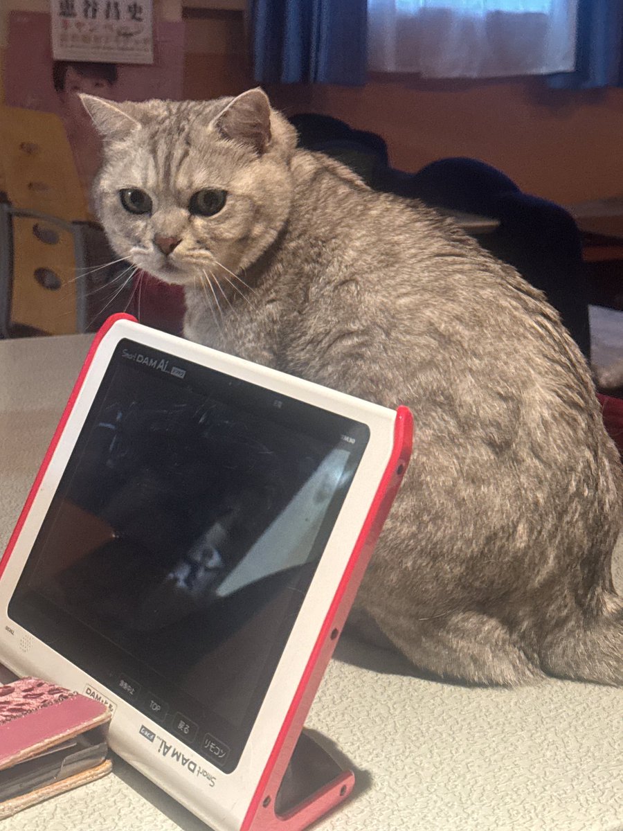 田中 佑生大（たなか ゆうき）/歌謡ポップグループ【SHIRA-SAGI】リーダー tweet media