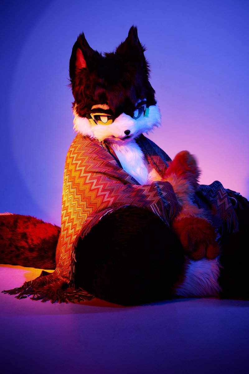 🐺 라만 🦴🔜 프로젝트 테일 tweet media