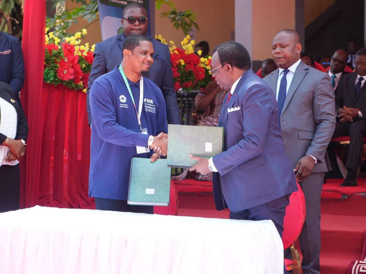 AllezLesLions tweet media