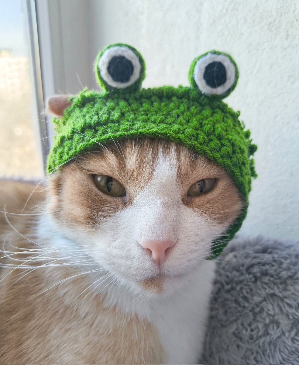 Королева Автосборки🫡Обморочная Зая🙀 tweet media