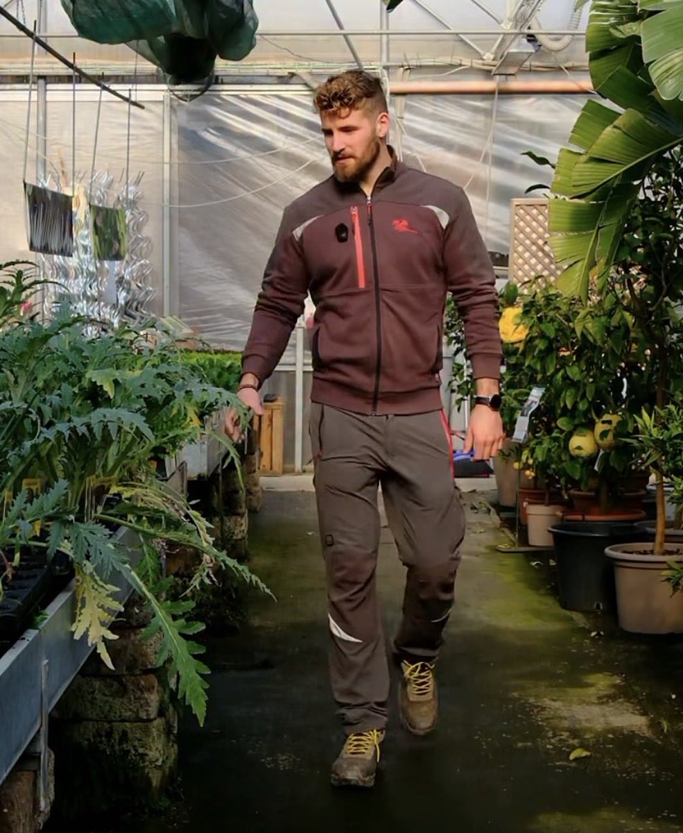 Dr. Gay Russian Bot tweet media