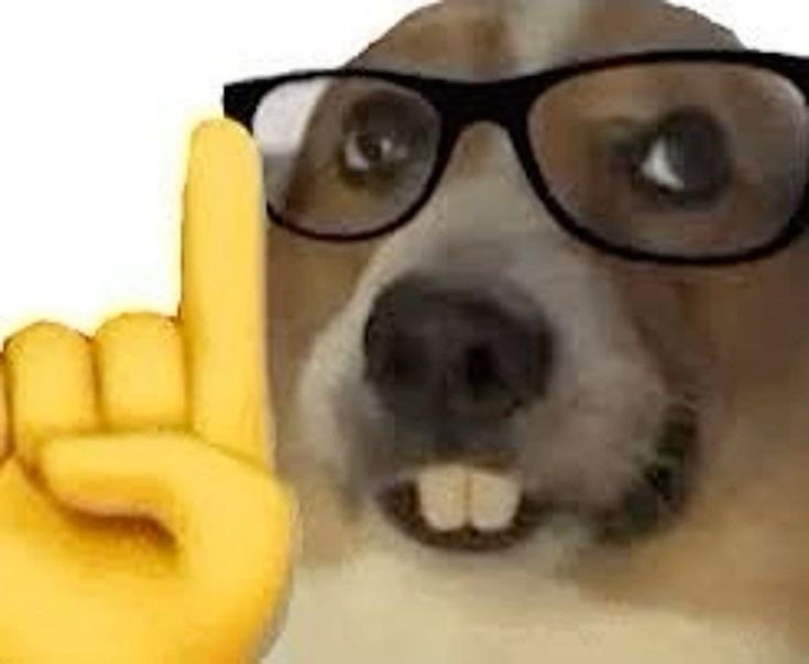 Marg 🐥🌿🌪️🌊 tweet media