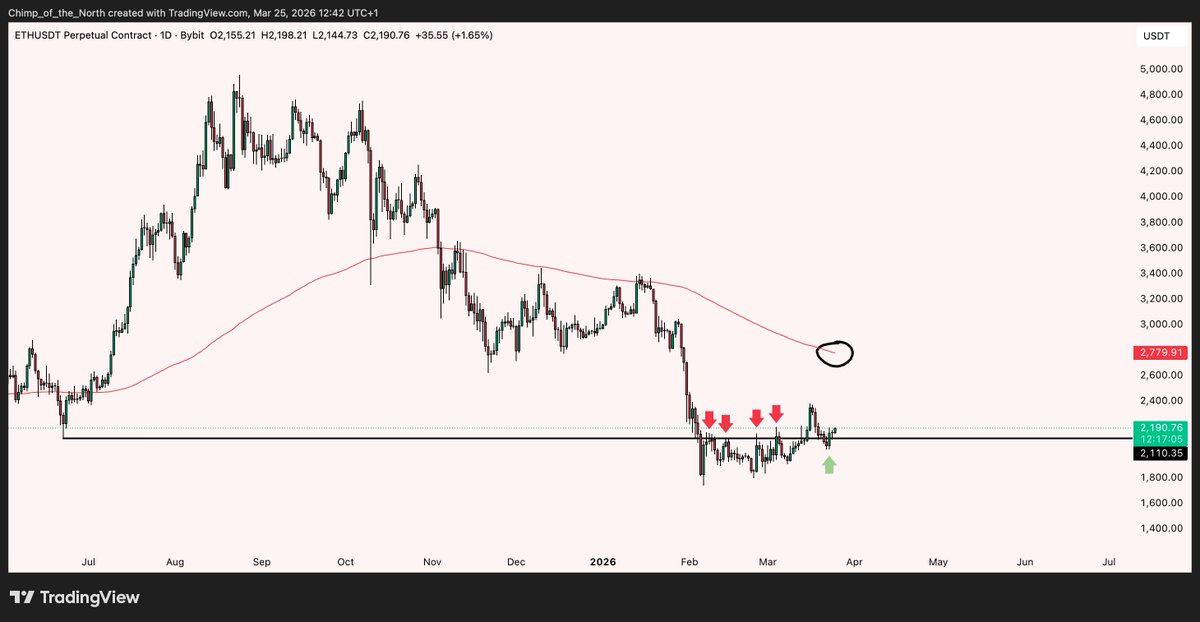 Chimp of the North tweet media