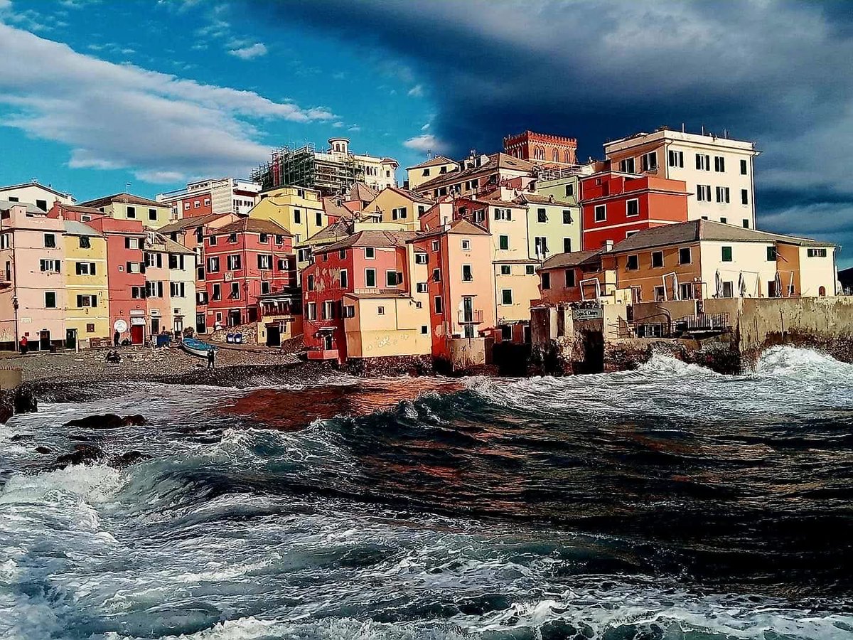 Amico fragile tweet media