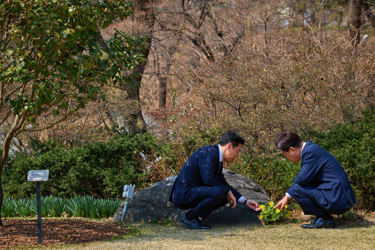 잔디가 올라오기 시작했어요~ 보이죠? 하셨었습니다 ㅎㅎ 오늘은 꽃이 예쁘다고 한참 보셨네요. ^^