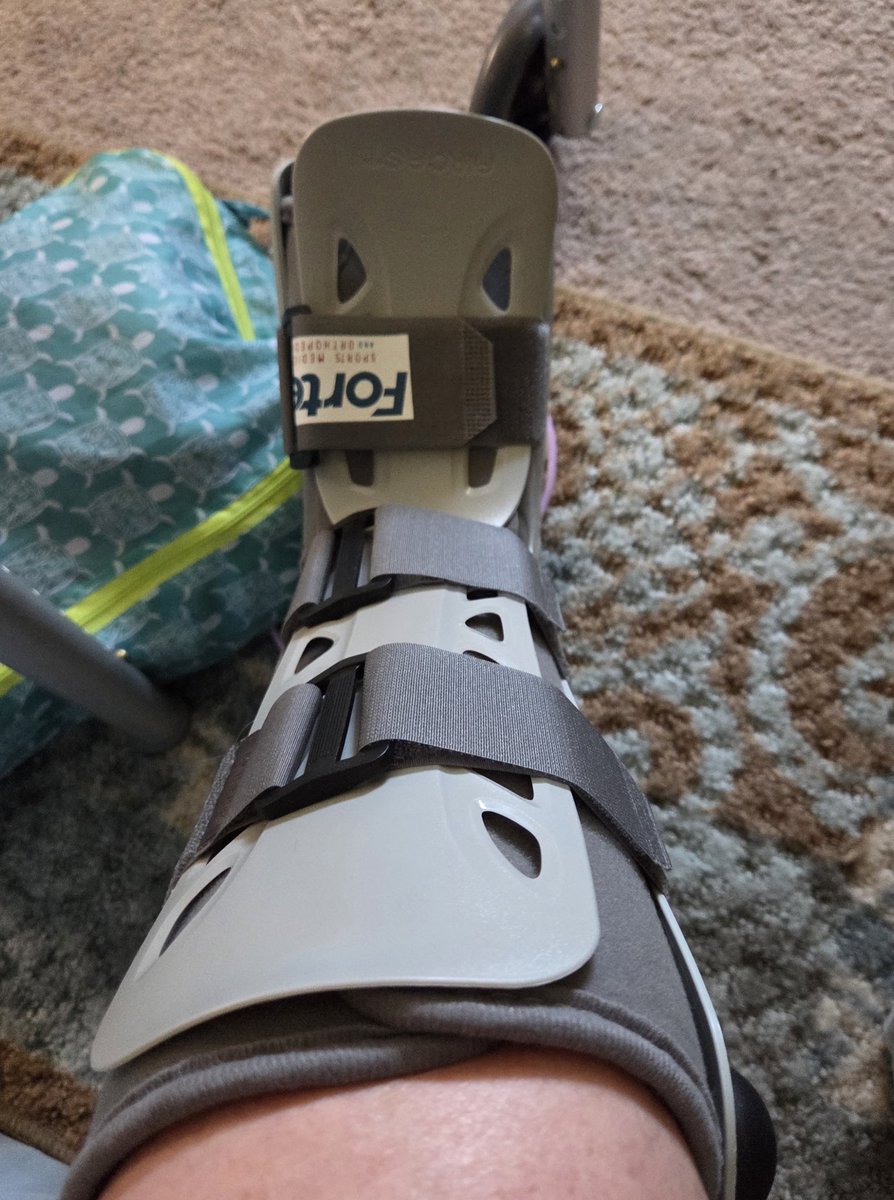 Miss Elizabeth tweet media