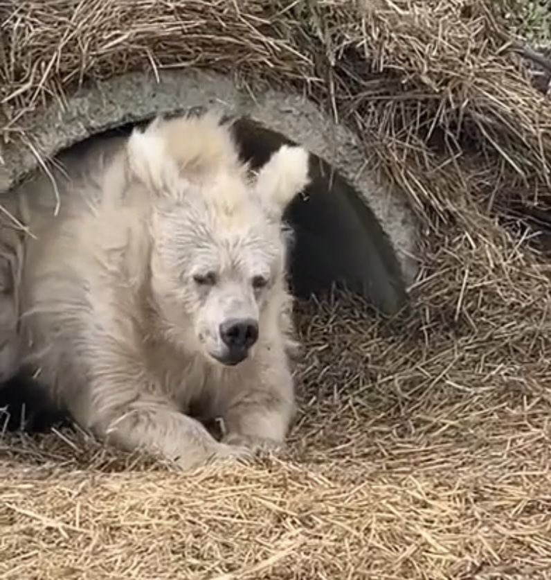 daily jongho. tweet media