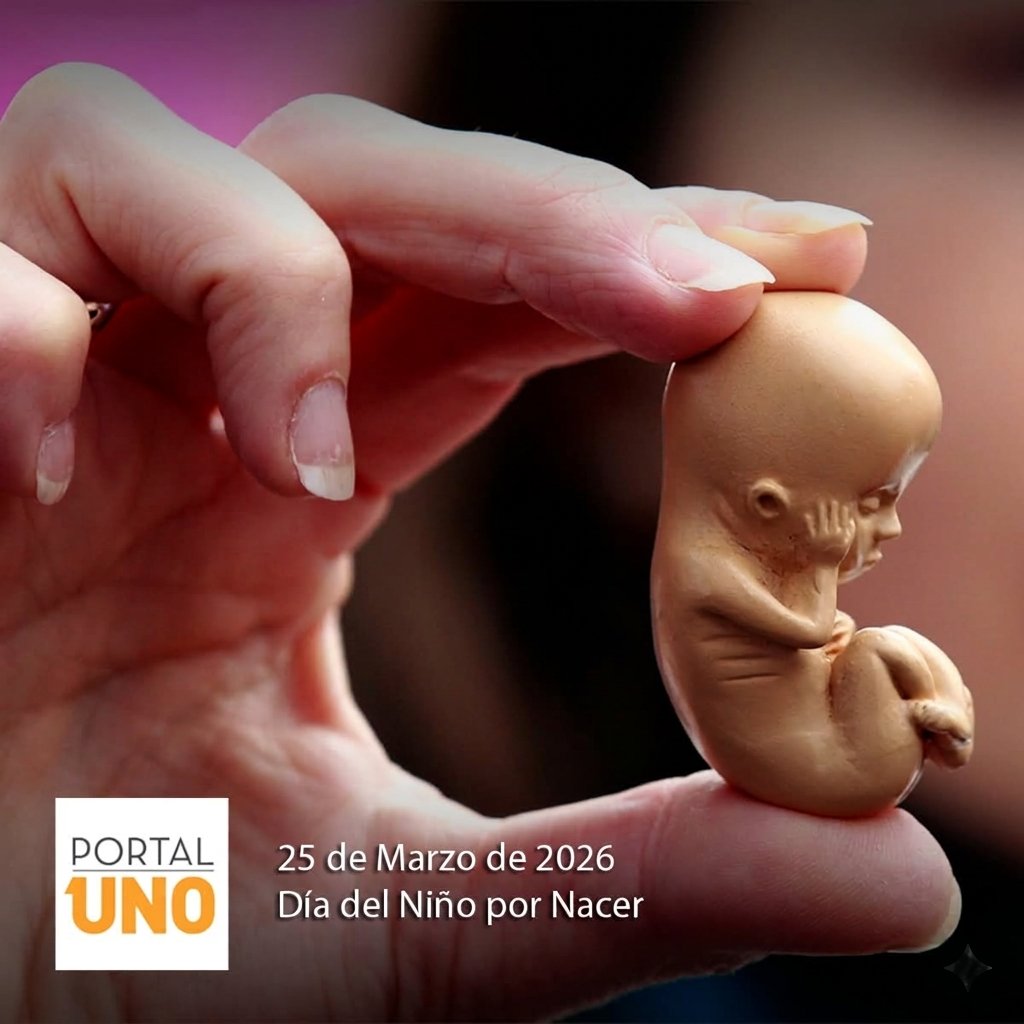 PORTAL UNO ARGENTINA 💙 tweet media